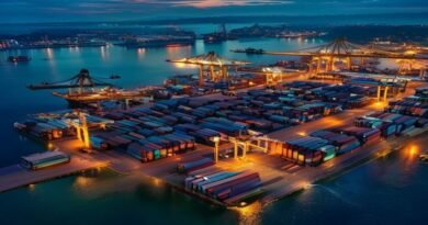 The Invisible Web: How Global Supply Chains Reshaped the World Economy The Invisible Web: How Global Supply Chains Reshaped the World Economy