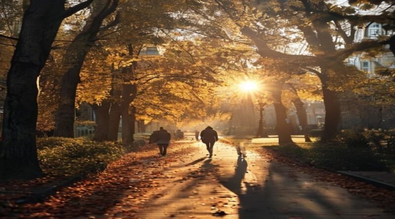 The Quiet Power of Walking: The World's Most Underrated Exercise